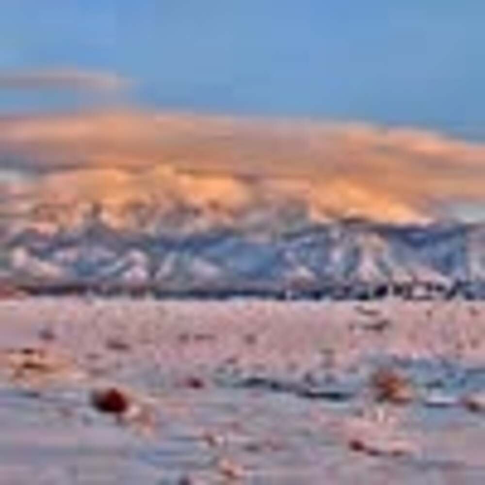 Meet your Posher, Alanna